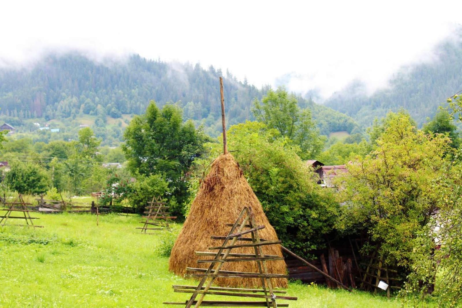Садиба Кичера Petrashi Exterior foto