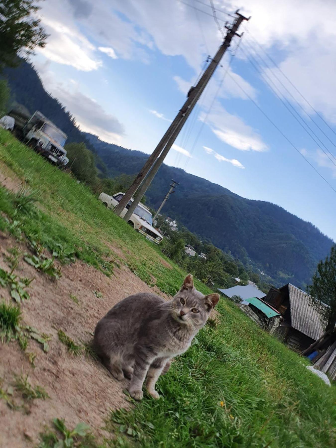 Садиба Кичера Petrashi Cameră foto