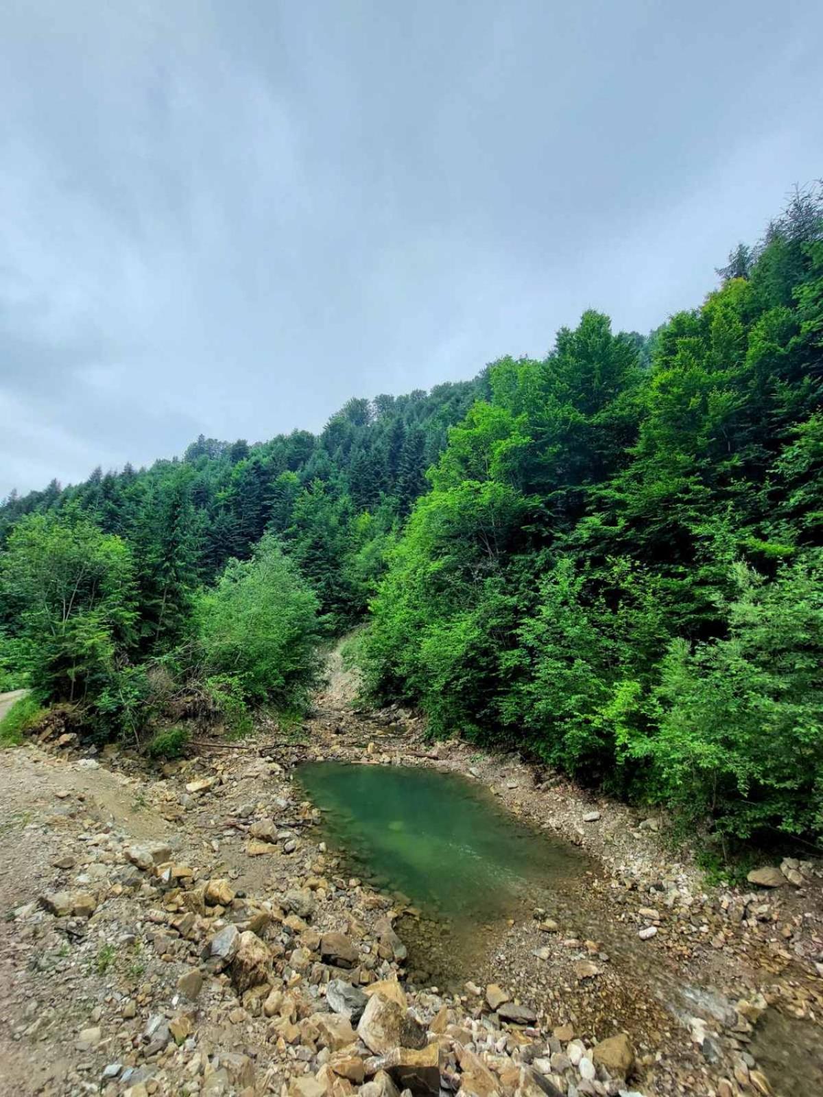 Садиба Кичера Petrashi Cameră foto
